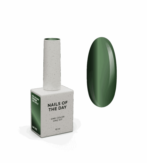 Gel polish Korean cat eye #17