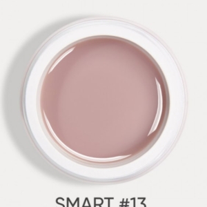 DARK Smart Builder Gel #13