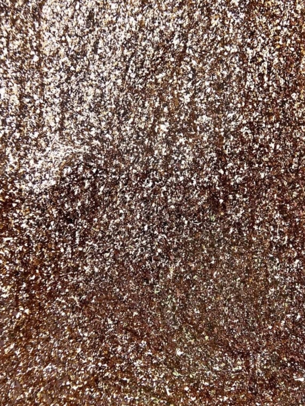 LUNAmoon Glitter for Nails Platinum gel #02