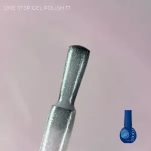Touch Gel Polish One Step #17